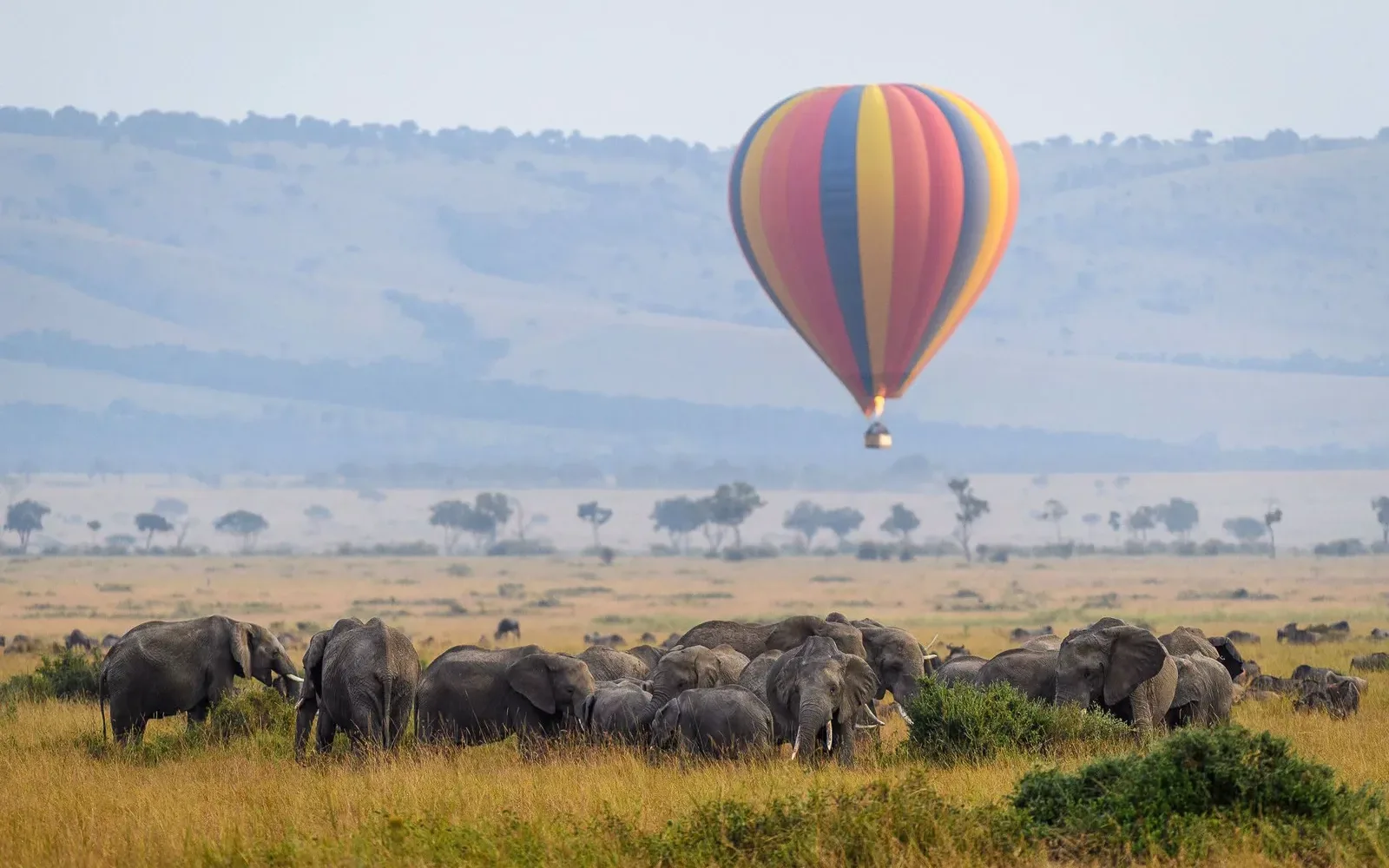 Balloon drifting above an elephant herd on open plains