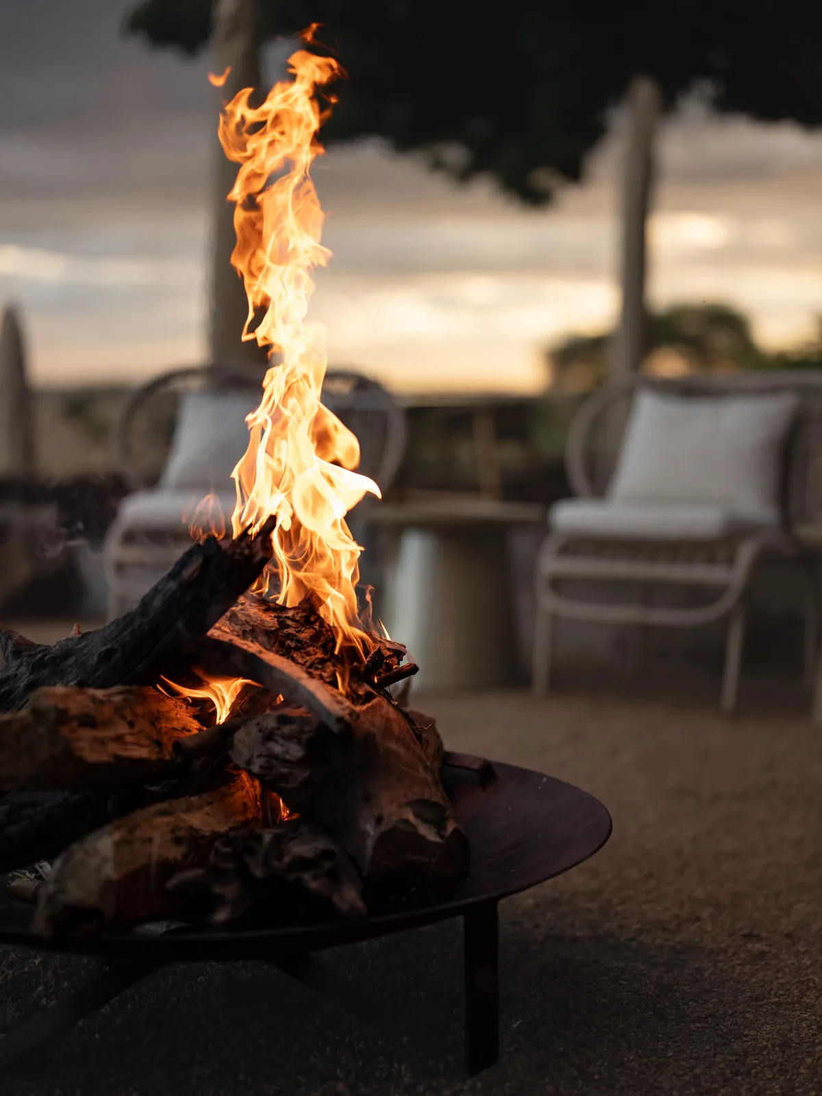Camp fire burning at dusk beside loungers at a safari camp