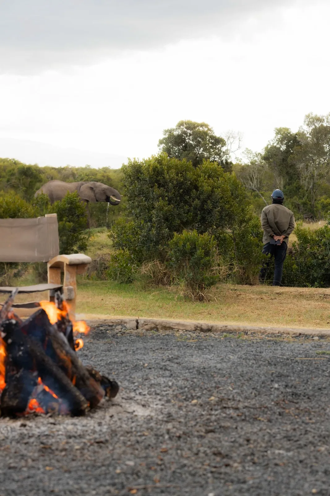 Camp fire in the foreground with an elephant beyond the tree line