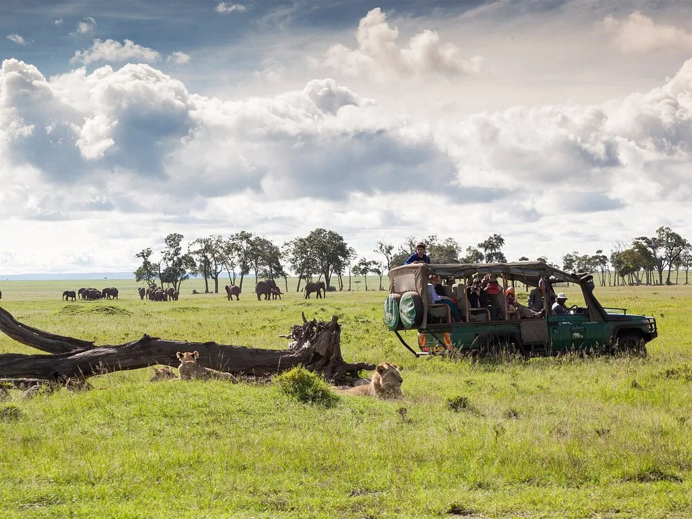 Forest lodge overlooking a waterhole with elephants in the Aberdare highlands
