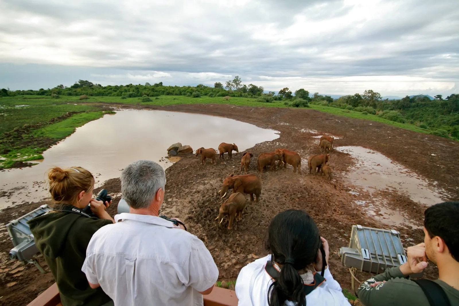 Guests photographing elephants at a waterhole from a lodge viewing deck