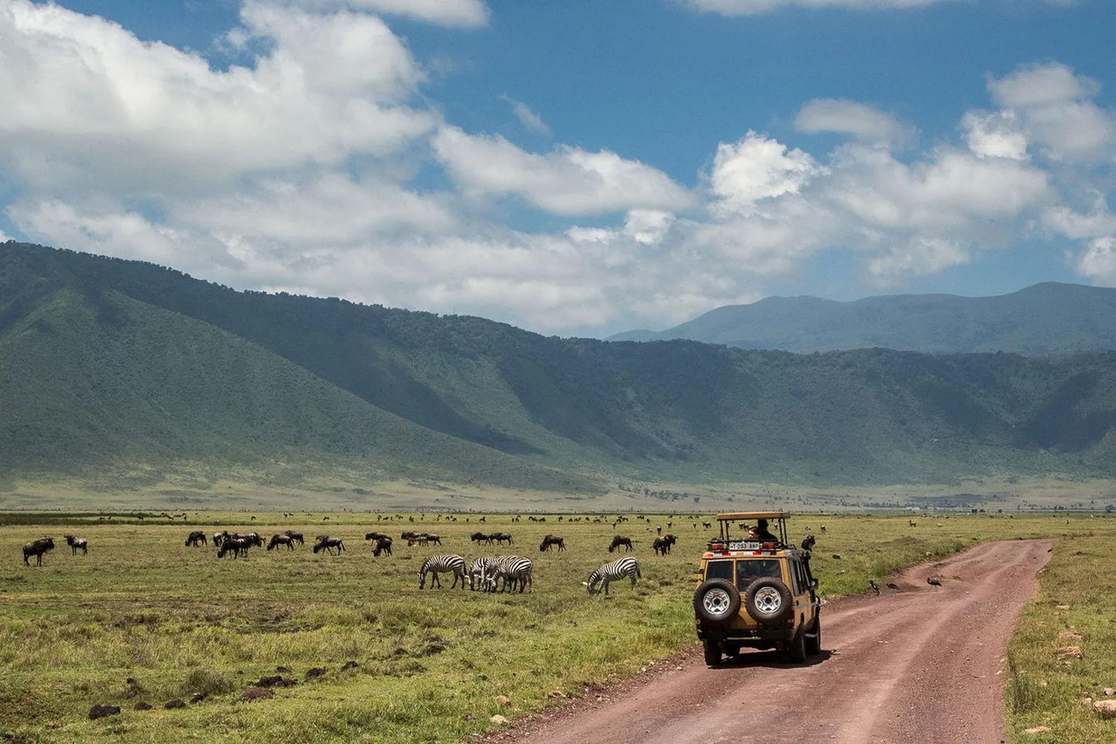 Safari vehicle on the Ngorongoro crater floor with zebra and wildebeest grazing