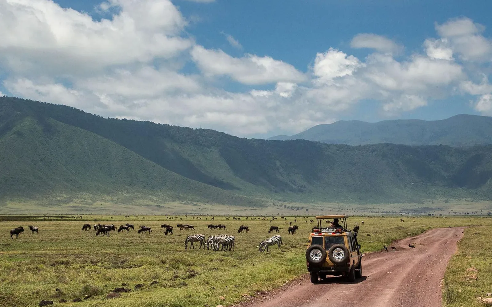 Vehicle on the Ngorongoro crater floor